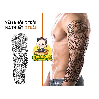 Phong lan vảy rồng  Ý nghĩa và cách chăm sóc tại nhà  Hoa Lan Rừng