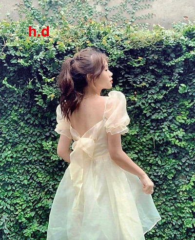 Chi tiết với hơn 84 hình nền váy công chúa không thể bỏ qua   cdgdbentreeduvn