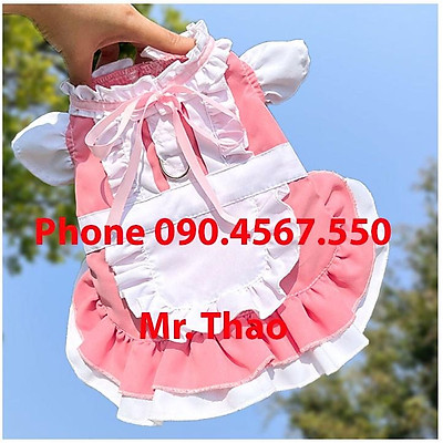 Tổng hợp Váy Cho Chó Poodle giá rẻ bán chạy tháng 82023  BeeCost