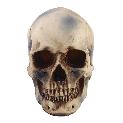 Mua 1:1 Resin Skull Statue Skeleton Head Collectible Halloween ...