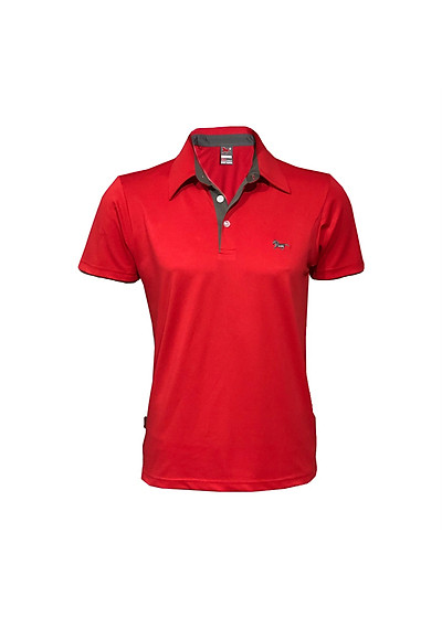 Áo Polo nam cổ sơ mi cao cấp công nghệ coolmax chống nhăn ngăn mùi  G   ALLPURE