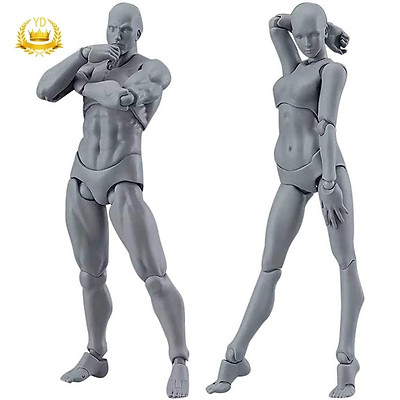 Mô hình giải phẫu cơ thể người 170cm