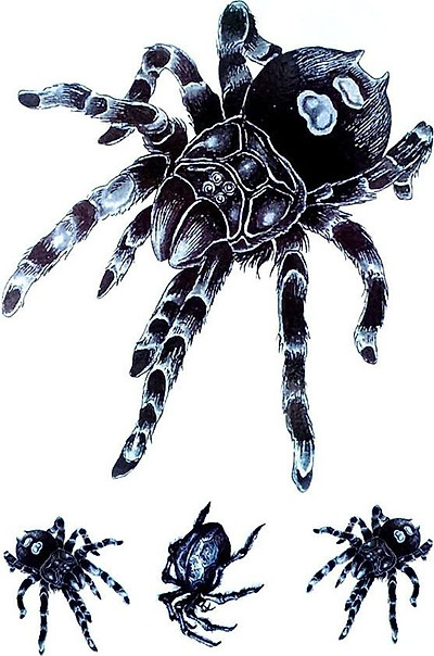 Ý NGHĨA HÌNH XĂM MẠNG NHỆN  Xăm hình nghệ thuật Trueart ink