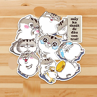220 Ami bụng bự ý tưởng trong 2023  mèo ú mèo ú pusheen mèo