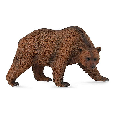 Đồ chơi mô hình động vật CollectA Gấu Nâu con  Brown Bear Cub  Lazadavn