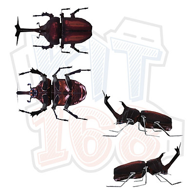 Mô Hình Kim Loại Lắp Ráp 3D Steel Warcraft Bọ Cánh Cứng Stag Beetle    ArtPuzzlevn