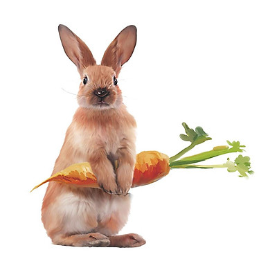 700+ Cute rabbit wallpaper Đưa bạn đến với thế giới của những chú thỏ đáng yêu