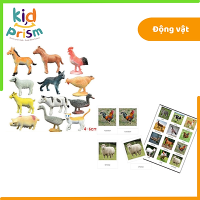 Trường tiểu học Montessori hay trường tiểu học truyền thống  Maya School   Trường Phổ Thông Liên Cấp Song Ngữ