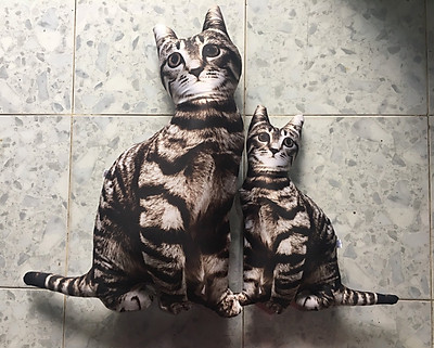 Gối Ôm Hình Con Mèo Nhồi Bông Quà Tặng Sinh Nhật Dễ Thương Tiki