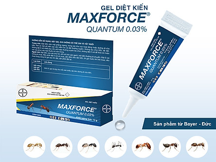 Diệt kiến dạng Gel Bayer Maxforce Quantum 0.03% (12g)