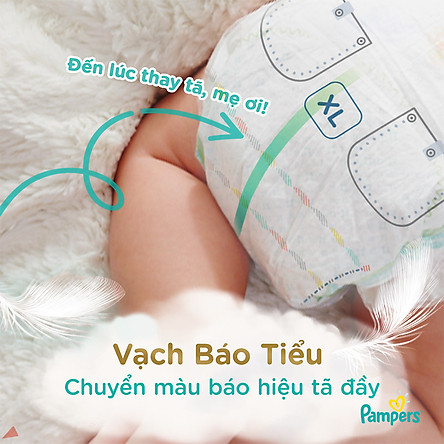 Tã Quần Pampers Nội Địa Nhật Bản M48/L38/XL36