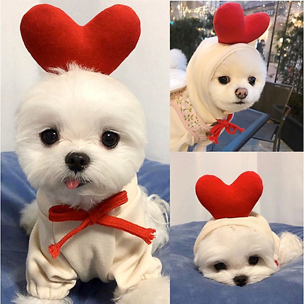 Áo Quần Thú Cưng, Áo cho chó mèo siêu cute