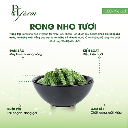 Rong Nho Khô Tách Nước Okinawa (5 gói x 20g) - Thần Dược Đại Dương