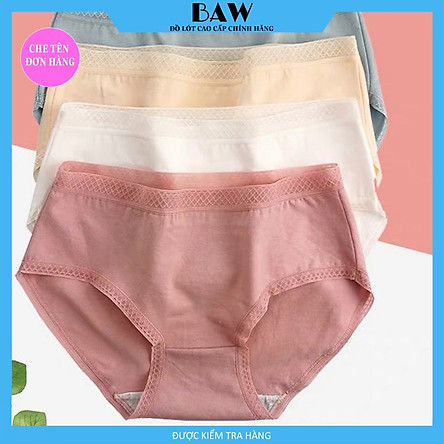 Bộ 5 Quần Lót Cotton 365 không hăn chống HPV 10 màu big size đến 65kg cạp vừa thương hiệu Baw QLN17