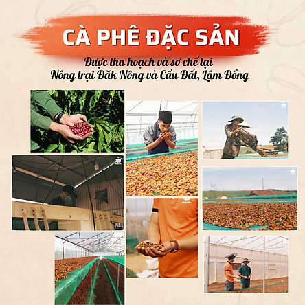 Cà Phê Arabica Cầu Đất Nguyên Chất Rang Mộc Đặc Biệt, Hậu Vị Ngọt Đậm Hương Trái Cây, Hạt Pha Máy Xay Pha Phin Ngon Từ Nông Trại Message Coffee  