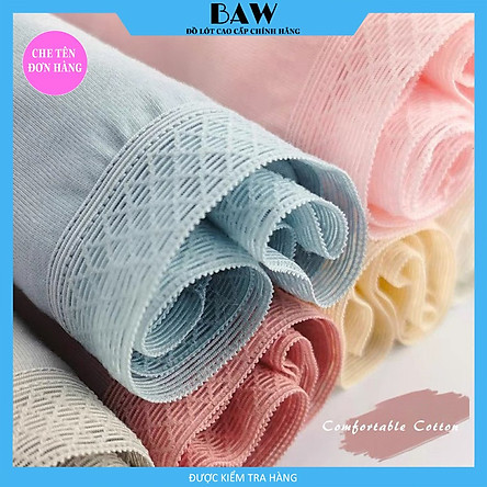 Bộ 5 Quần Lót Cotton 365 không hăn chống HPV 10 màu big size đến 65kg cạp vừa thương hiệu Baw QLN17