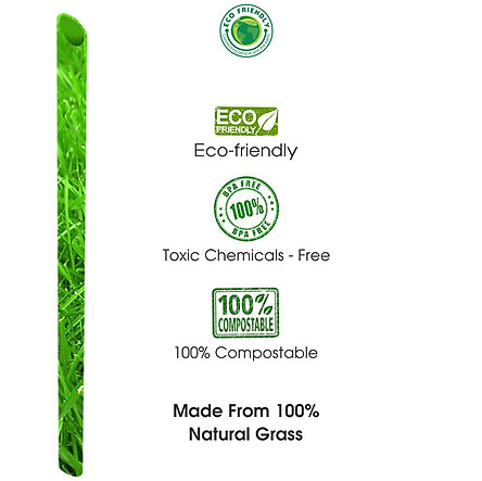 Hộp 100 ống hút cỏ bàng khô Eco Friendly size 11 cm - Sử dụng được cho tất cả các loại nước 