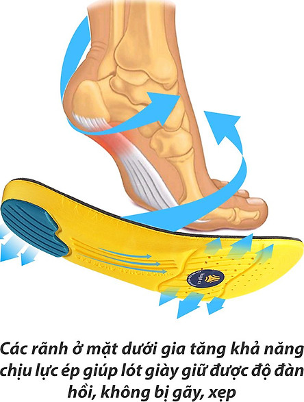 Lót giày thể thao EVA biết thở có rãnh chịu lực và gel chống thốn gót buybox BBPK26