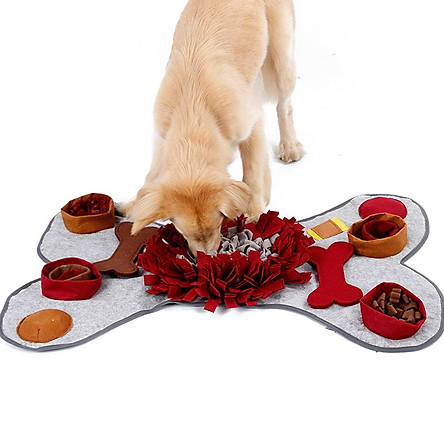 nose work dog training