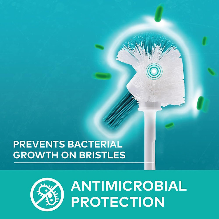 sb-bctl-491-1.jpg?v=1719566183783