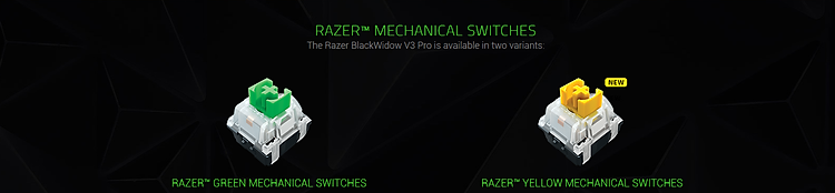 Bàn phím Không dây Razer BlackWidow V3 Pro (USB Wireless/Green switch/Bluetooth) (RZ03-03530100-R3M1) sử dụng switch Razer độc quyền 