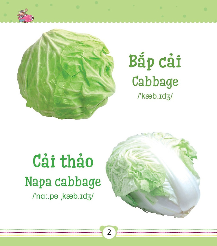 sach-tu-dien-bang-tranh-danh-cho-tre-em-rau-cu-1.jpg