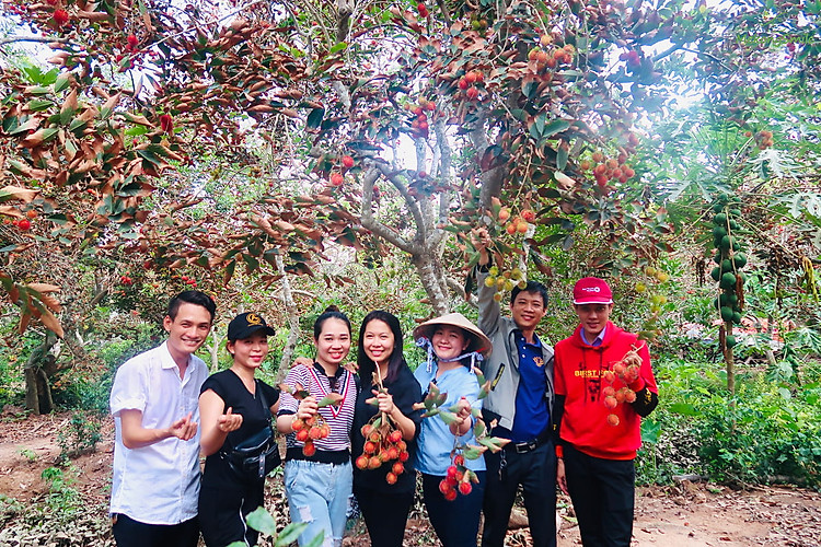 Tự do hái trái cây tươi ngon ở vườn trái cây Cồn Sơn - tour miền Tây 4 ngày 3 đêm