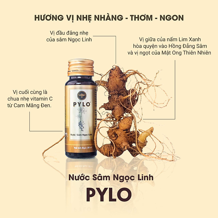 Nước Sâm Ngọc Linh PyLoHerb