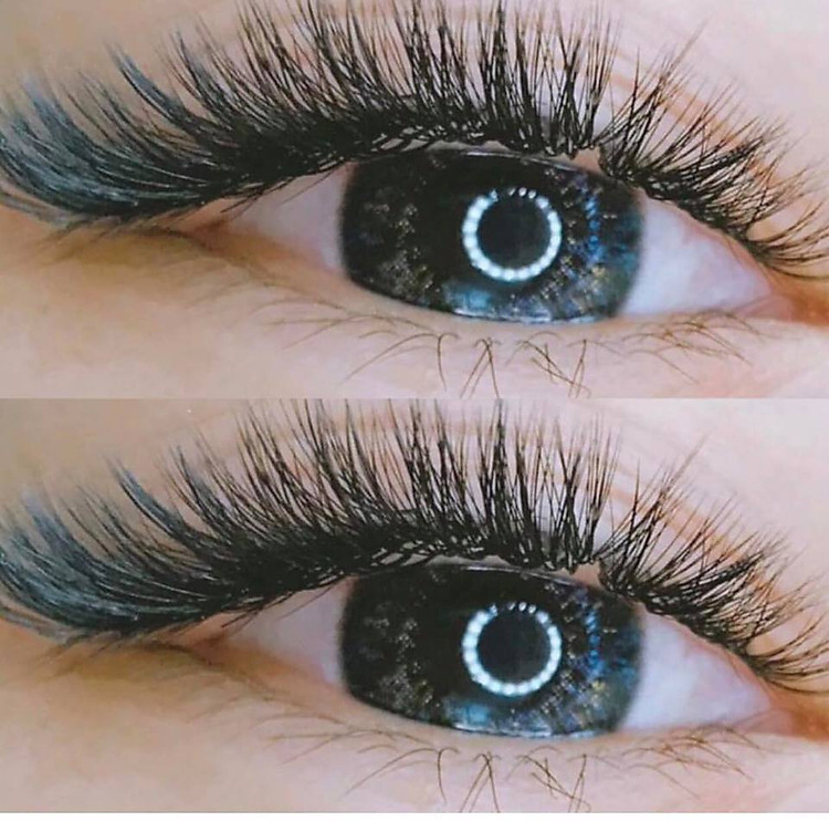 lông mi volume cao cấp