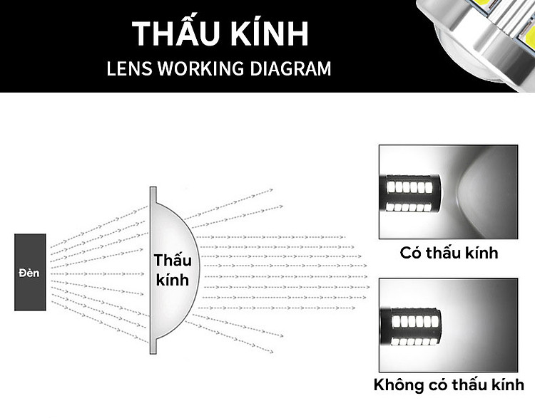 Bóng đèn LED xe H5630-33