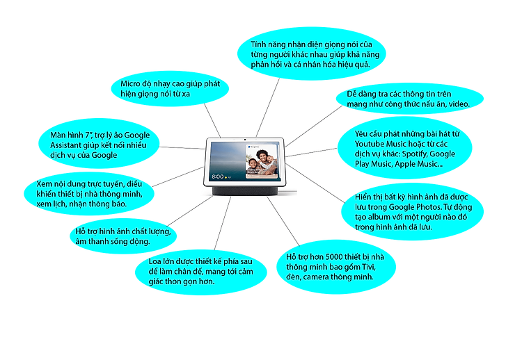 Infographic Google Nest Hub