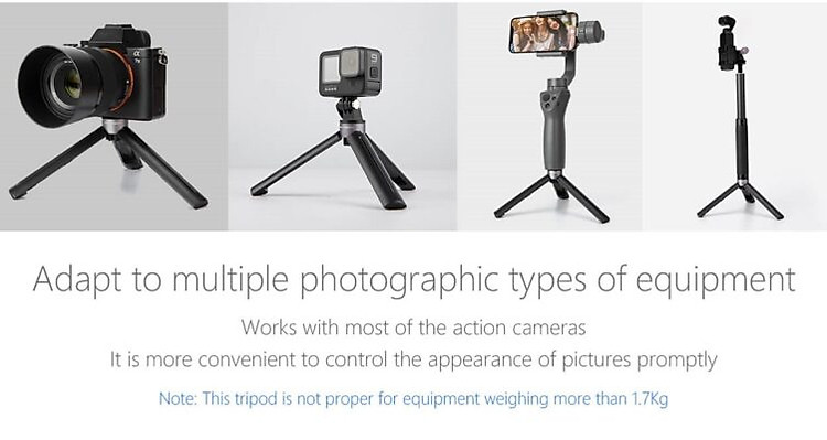 gay-3-chan-chinh-hang