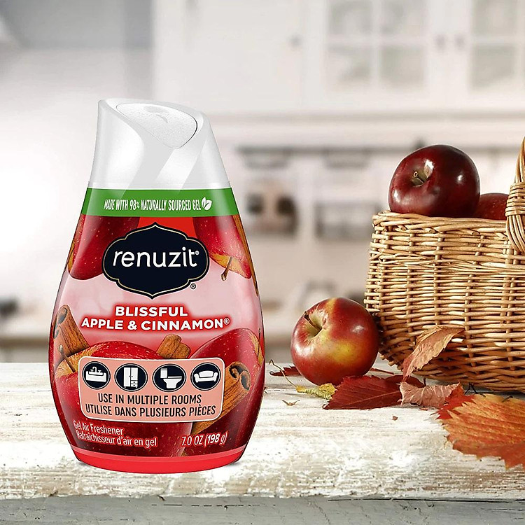 Renuzit Air Freshener Blissful Apple And Cinnamon 198g