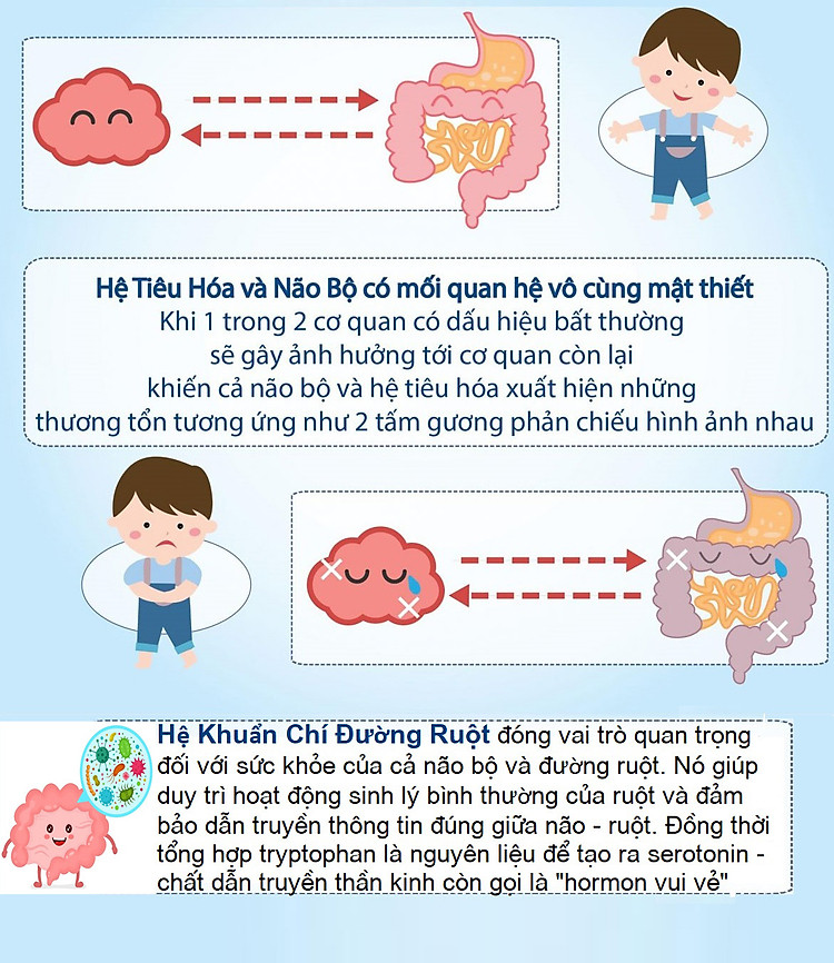 Vì sao lợi khuẩn đường ruột giúp giảm lo âu? 1