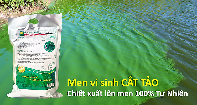 MEN-VI-SINH-CAT-TAO-LAM