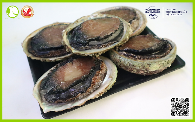 Bào Ngư Úc Viền Đen