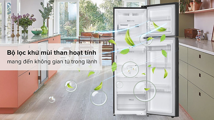 Tủ lạnh LG Inverter 264 Lít GV-D262BL - Công nghệ kháng khuẩn, khử mùi
