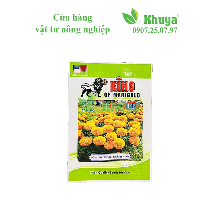 24582e2ed4cf417dce162fb3375405e6.png