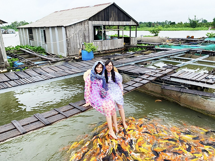Tour Sai Gon My Tho Ben Tre Can Tho Con Son Can Tho