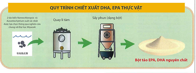 Okinawa Fucoidan Gold – Hỗ trợ điều trị ung thư và chống suy mòn khối cơ