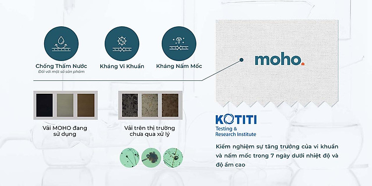 Nội thất MOHO