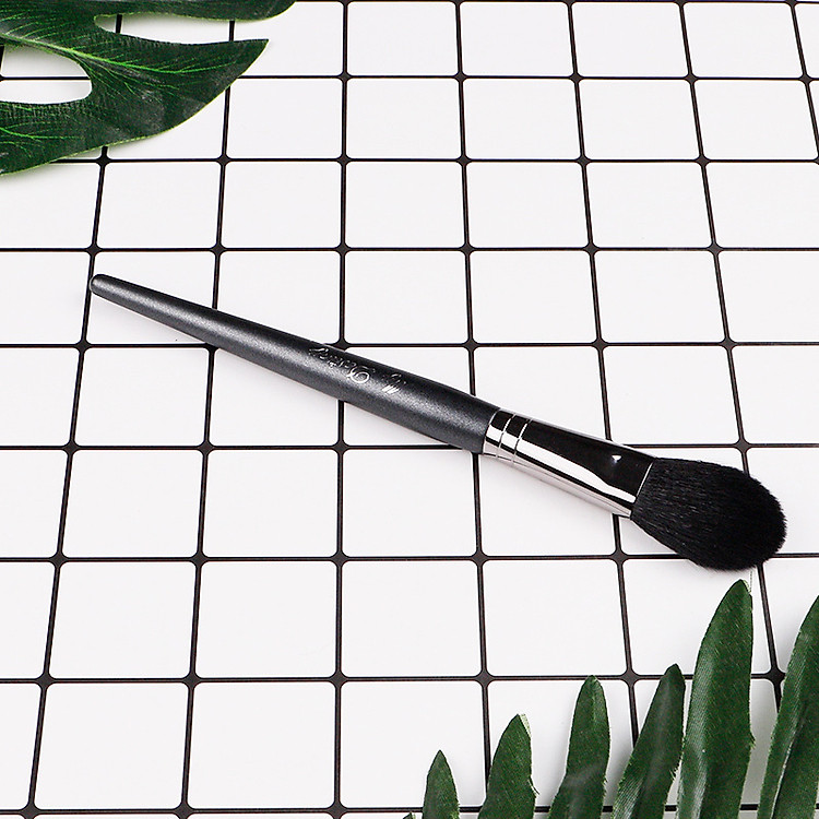 Cọ High Light Mydestiny B009 4