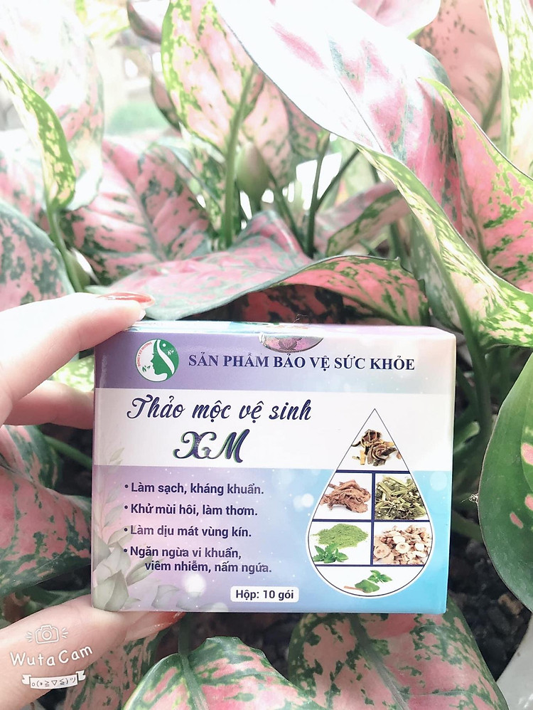 thảo mộc vệ sinh xm