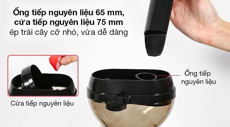 Máy ép chậm Ferroli FSJ-200M - Ống tiếp nguyên liệu đường kính 65 mm