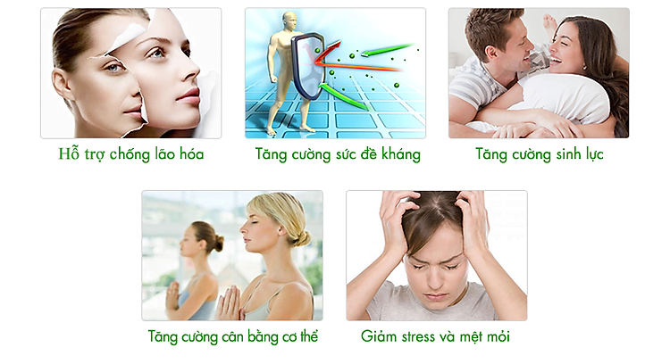 Công Dụng
