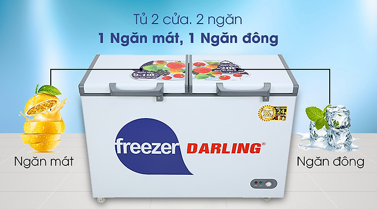 Tủ đông Darling 260 lít DMF-3999 W2 - 2 cửa 2 ngăn