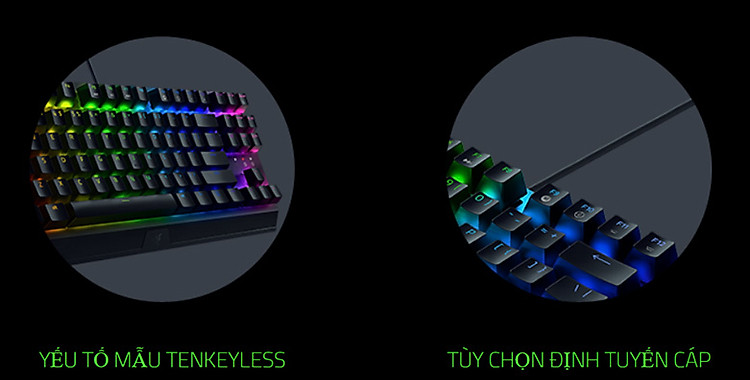 Razer Blackwidow V3 Tenkeyless (RZ03-03490100-R3M1) | Bàn phím cơ Razer Black Widow V3 TKL