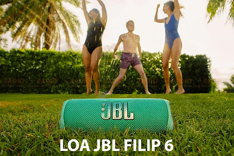 loa JBL Flip 6