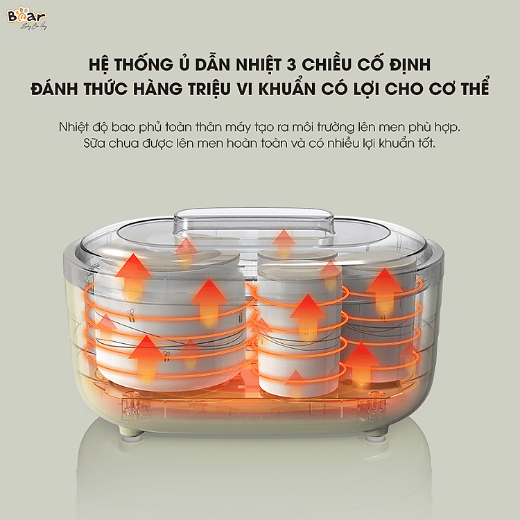 bear-sb-sc10c-9.png?v=1688534546620