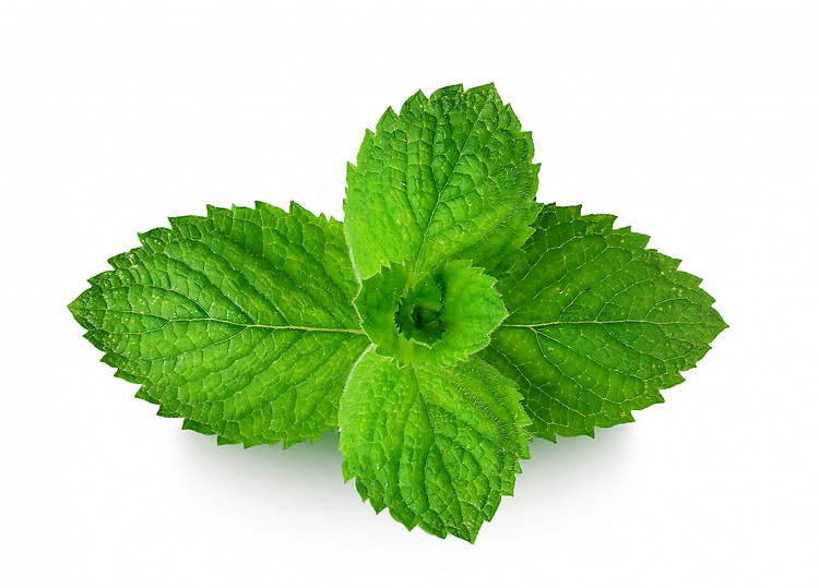 Topical Pain Cream: How Menthol Helps Relieve Pain